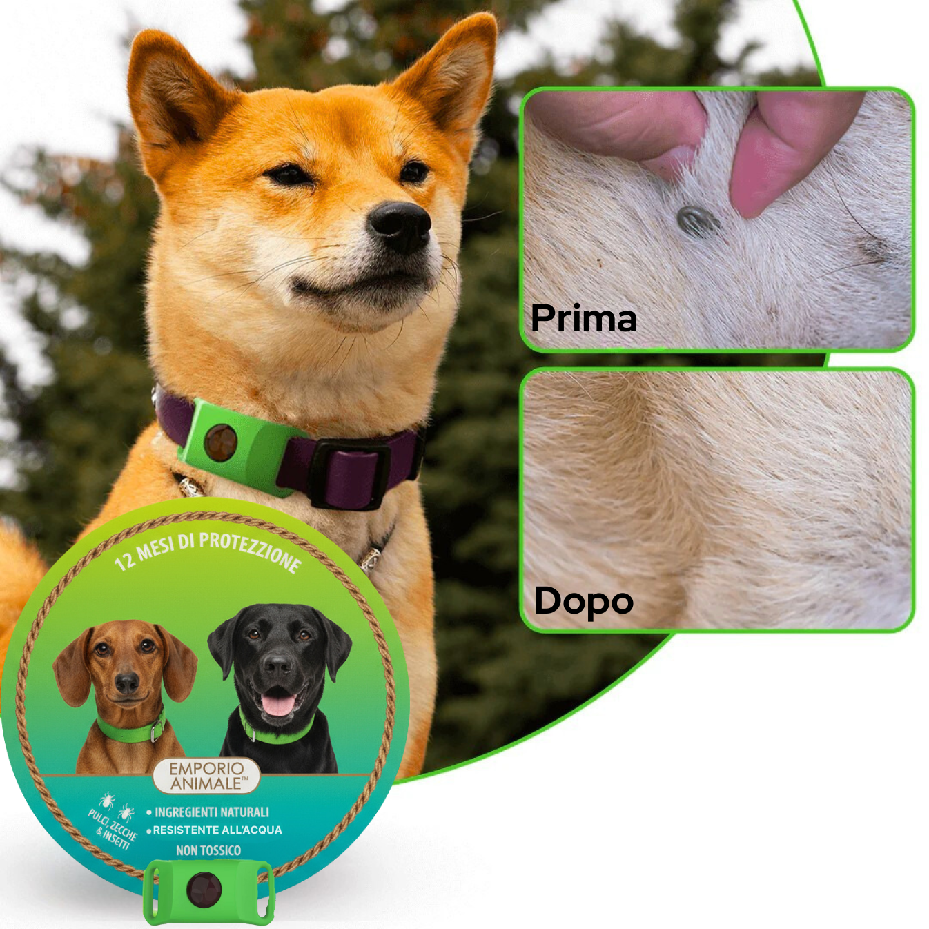 Emporio Animale™ Collare Antiparassitario Naturale per Cani - 12 Mesi di Protezione
