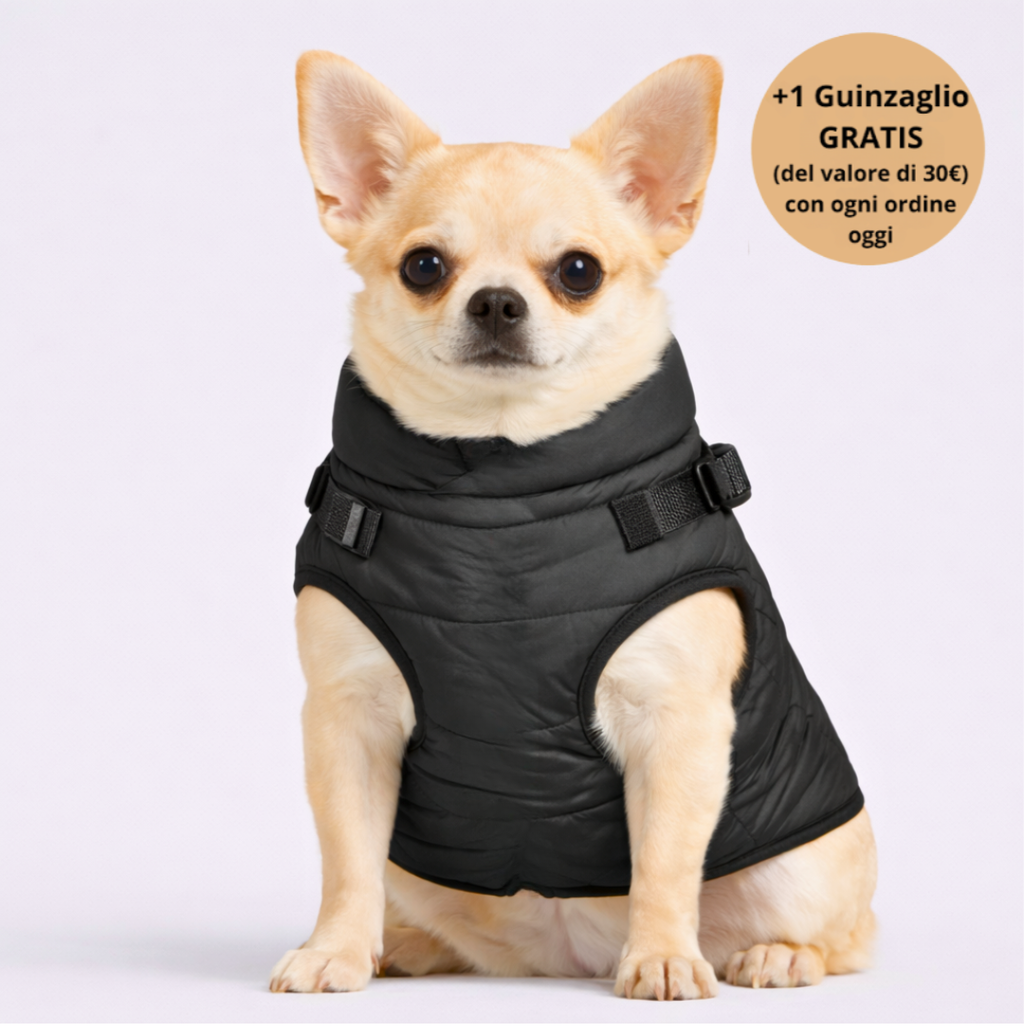 Emporio Animale™ Giacca Invernale 3 in 1 + Guinzaglio OMAGGIO