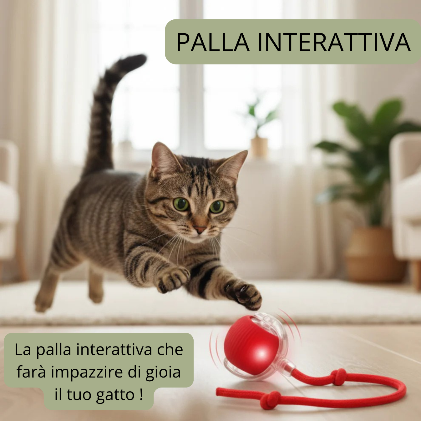 CrazyBall™ – Palla Interattiva