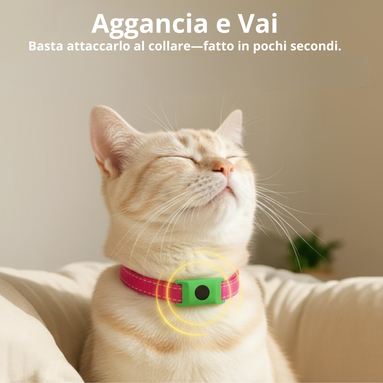 Emporio Animale™ Collare Antiparassitario Naturale per Gatti - 12 Mesi di Protezione