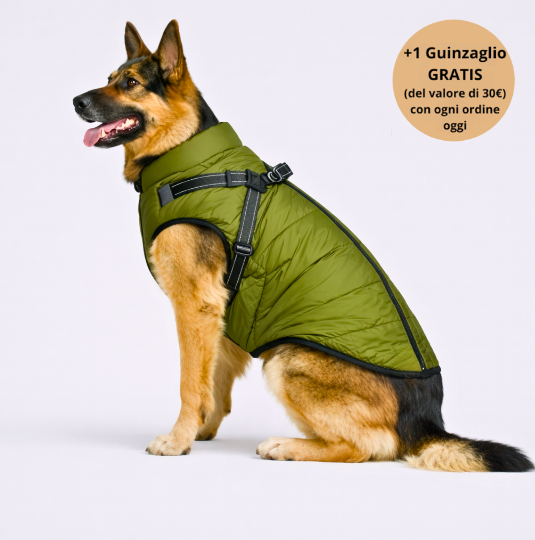 Emporio Animale™ Giacca Invernale 3 in 1 + Guinzaglio OMAGGIO