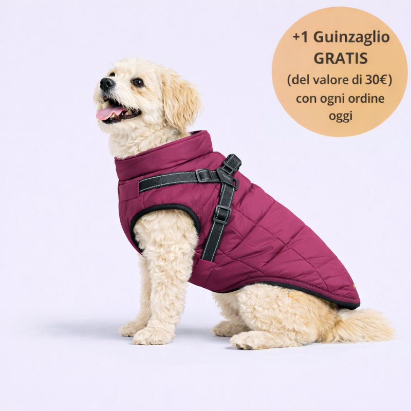 Emporio Animale™ Giacca Invernale 3 in 1 + Guinzaglio OMAGGIO