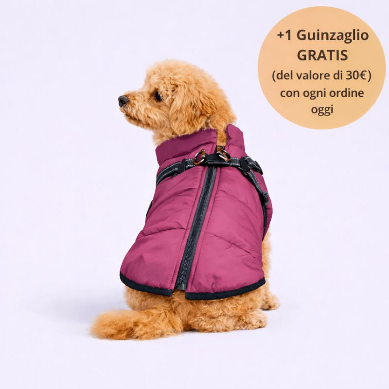 Emporio Animale™ Giacca Invernale 3 in 1 + Guinzaglio OMAGGIO