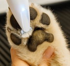 Emporio Animale™ Tosatrice per zampe