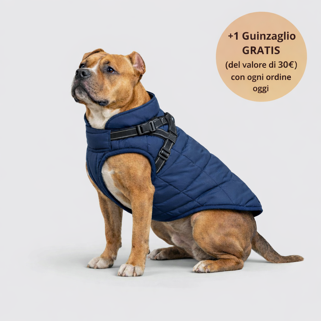 Emporio Animale™ Giacca Invernale 3 in 1 + Guinzaglio OMAGGIO