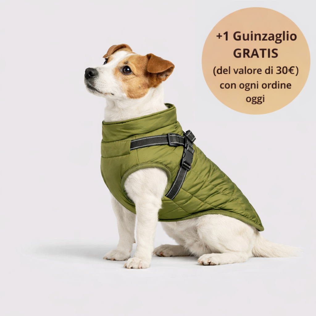 Emporio Animale™ Giacca Invernale 3 in 1 + Guinzaglio OMAGGIO