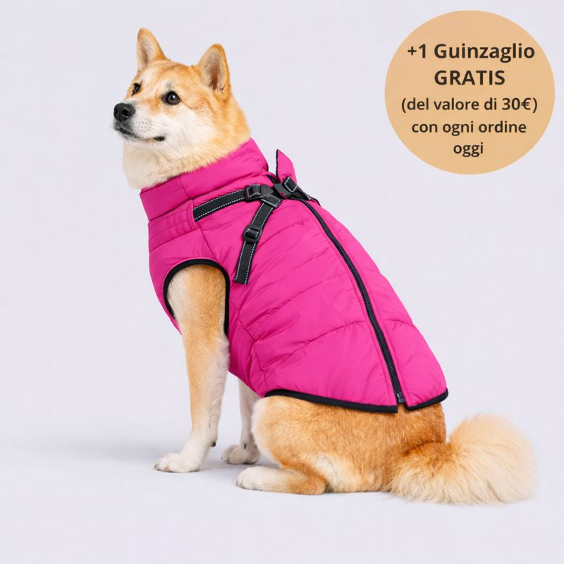 Emporio Animale™ Giacca Invernale 3 in 1 + Guinzaglio OMAGGIO