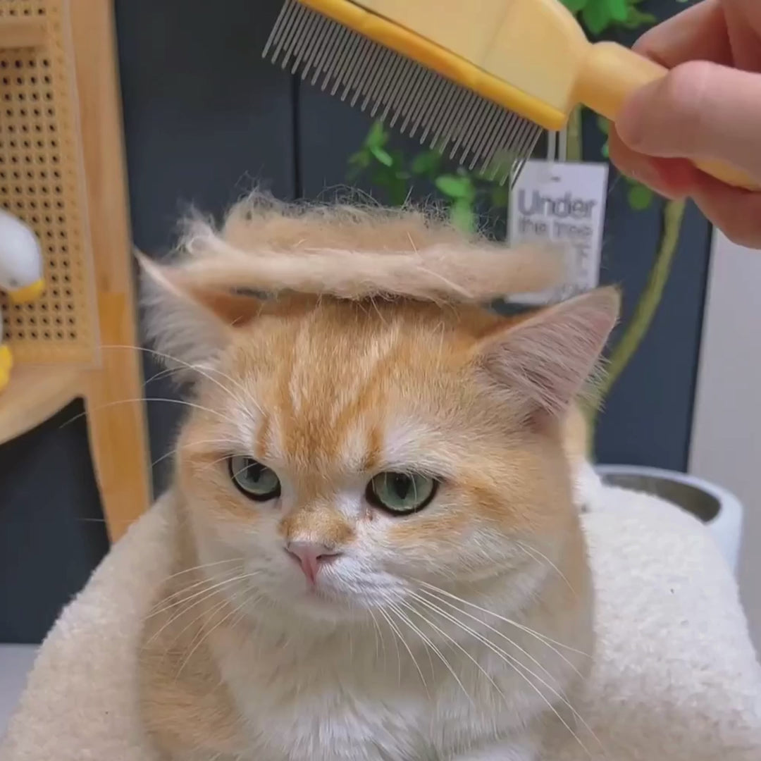 Spazzola levapeli per animali