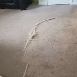 Valentina P.​​​​​​​​​​​​​​​​