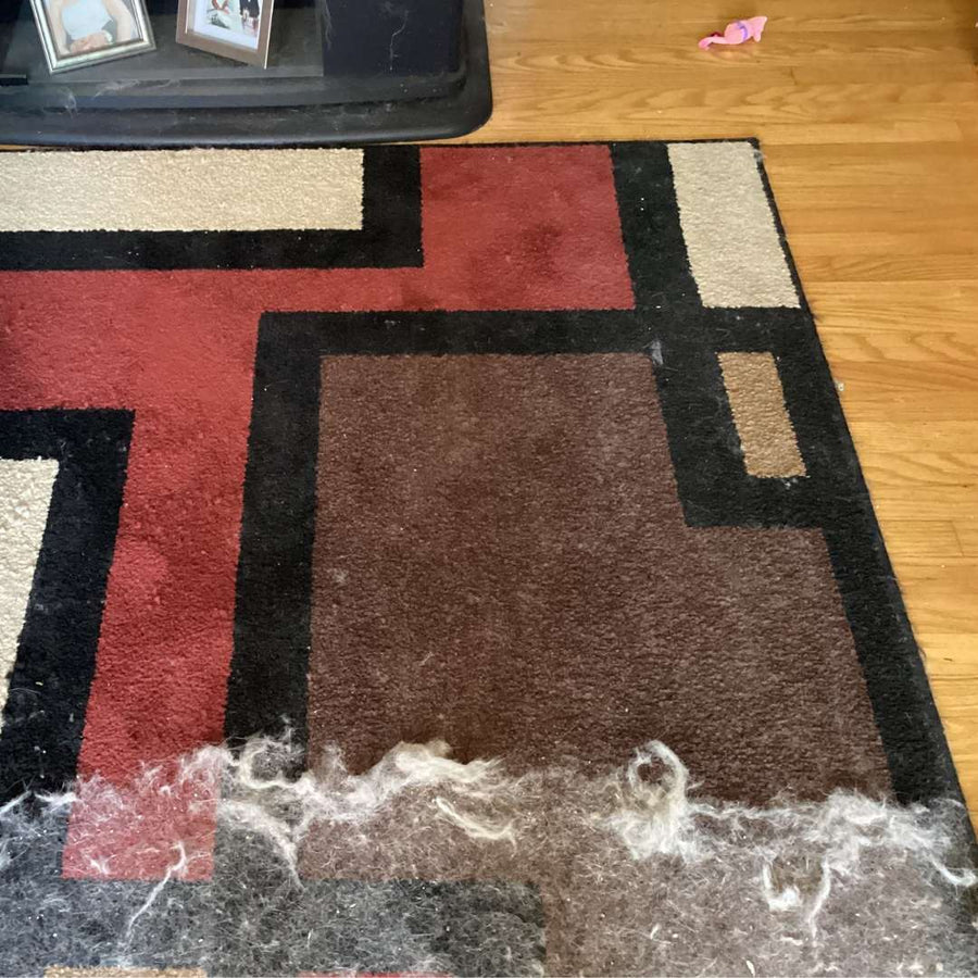 Emporio Animale™ Rimuvi Peli