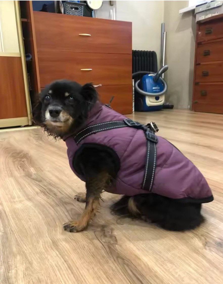 Foto della cliente con la giacca